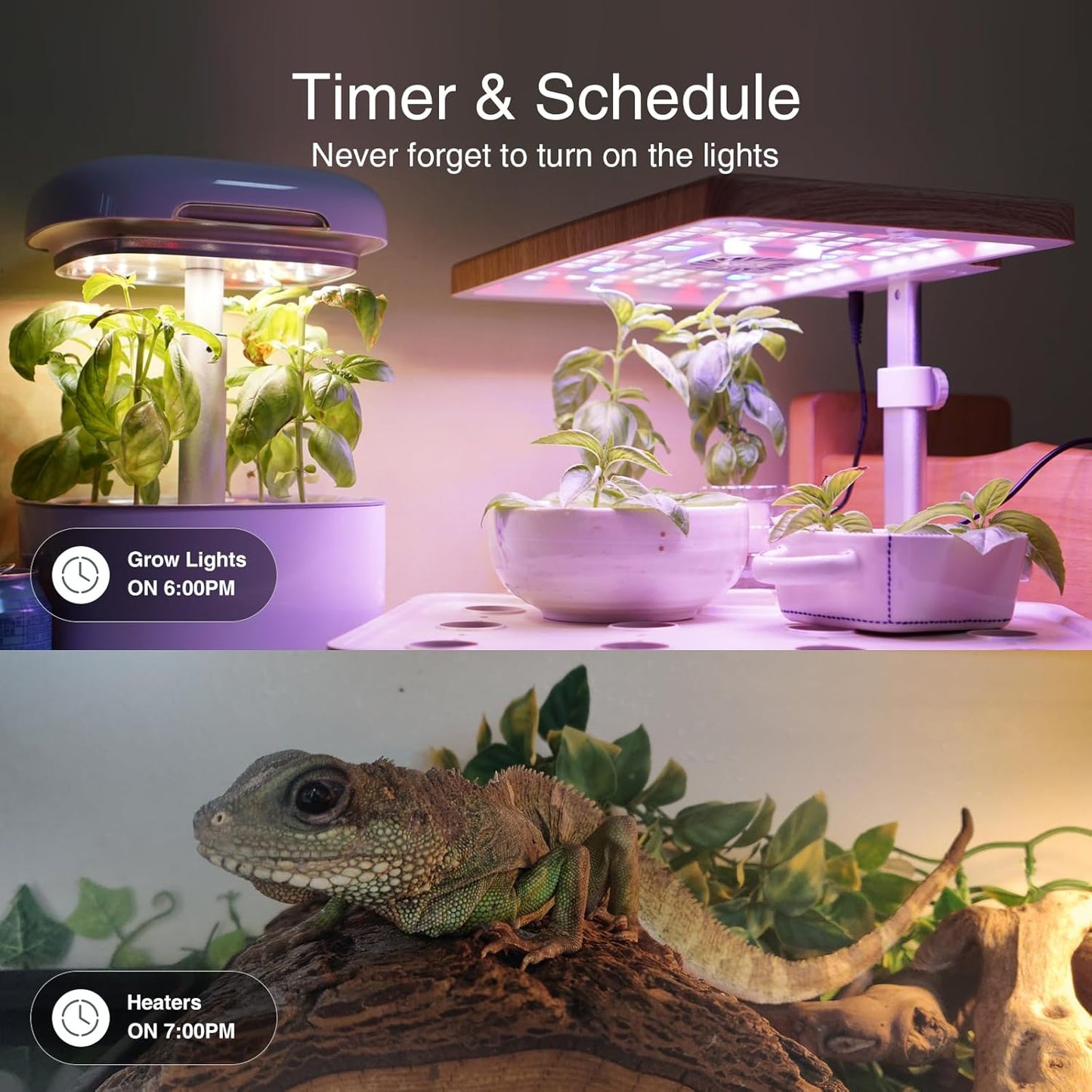 Power Strip with 3 USB Ports & 3 Smart Outlets Plugs That Work with Alexa & Google Home, Wifi Surge Protector, Flat Plug for Home Office Travel, 10A